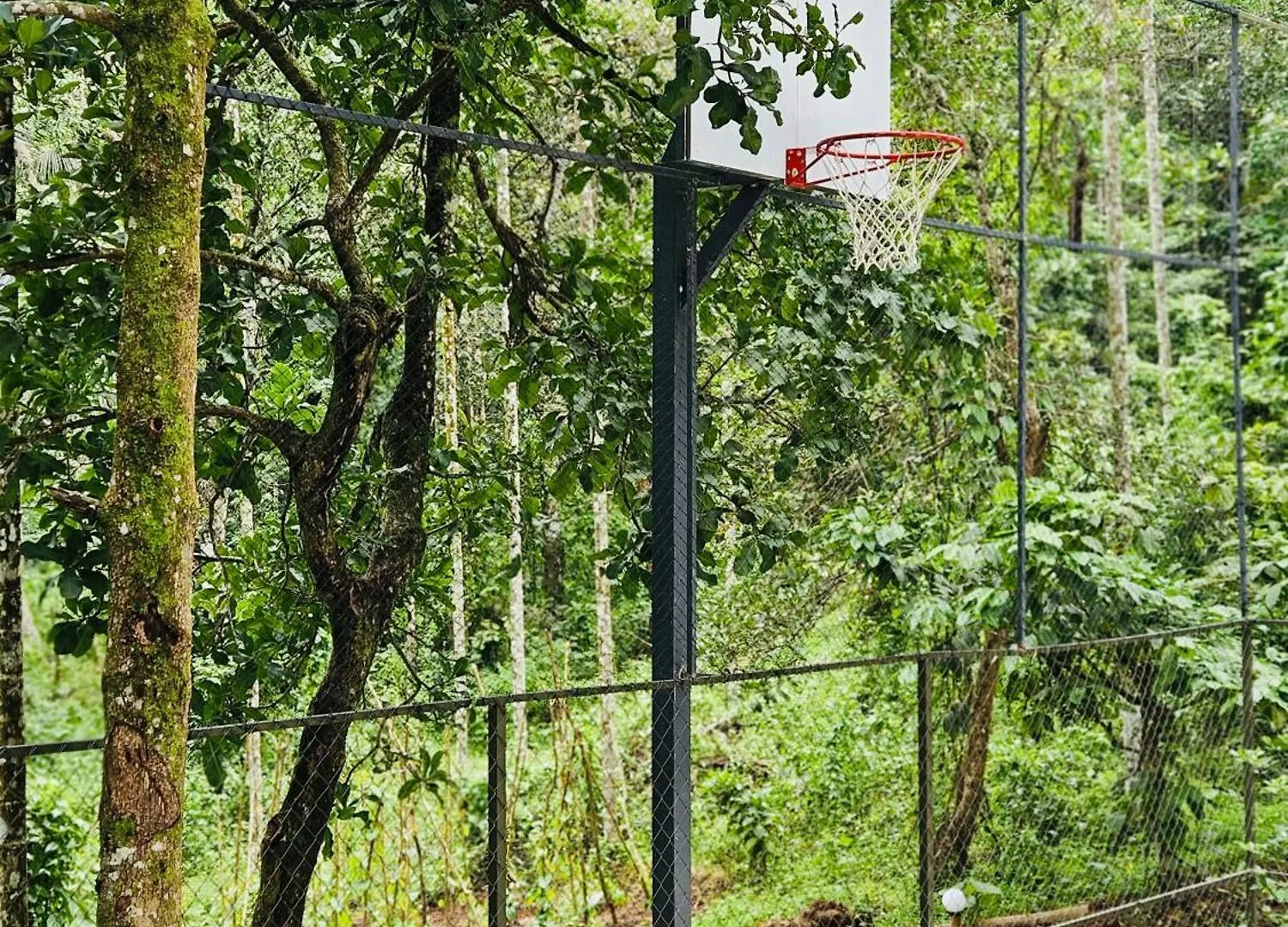 The Hive At Druv Dakshin Farm Resort Padinjarathara