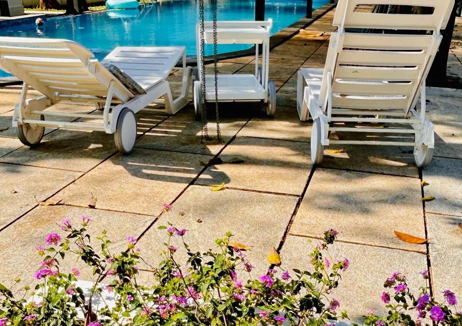 The Hive At Druv Dakshin Farm Resort Padinjarathara