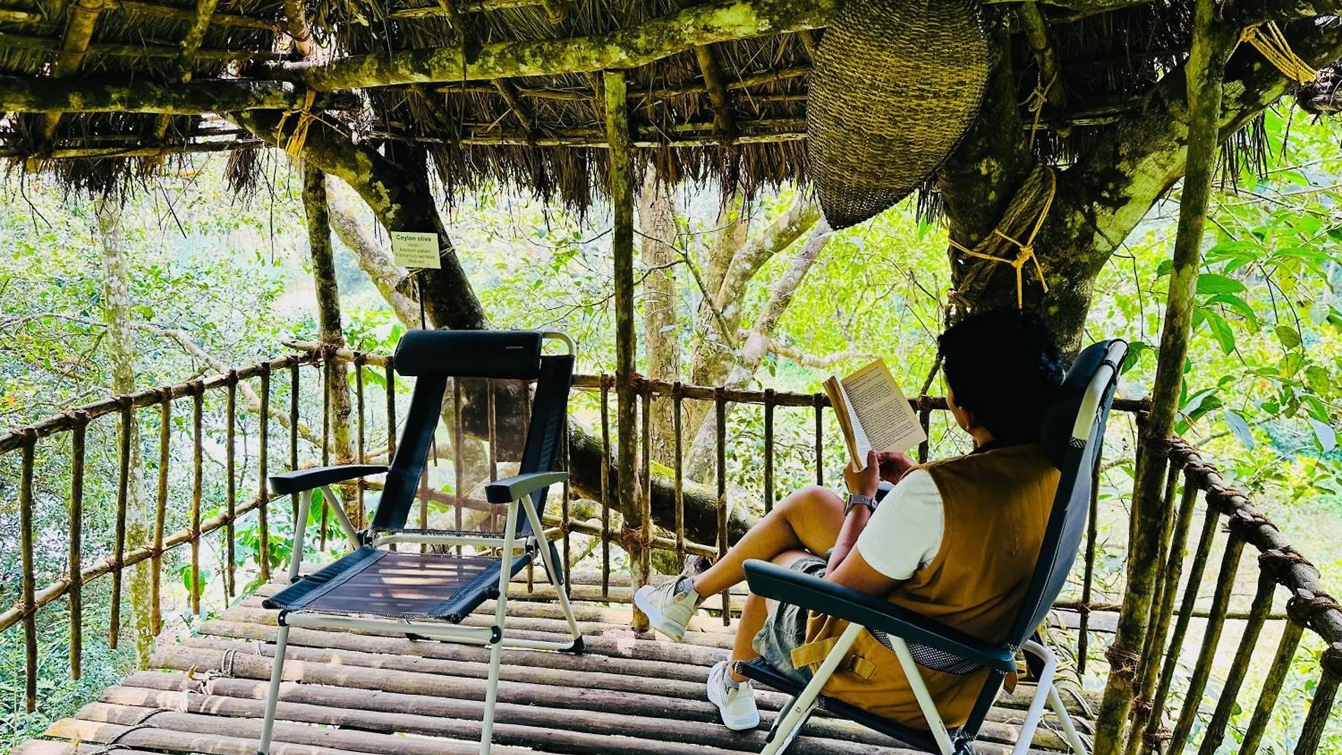 The Hive At Druv Dakshin Farm Resort Padinjarathara Indien