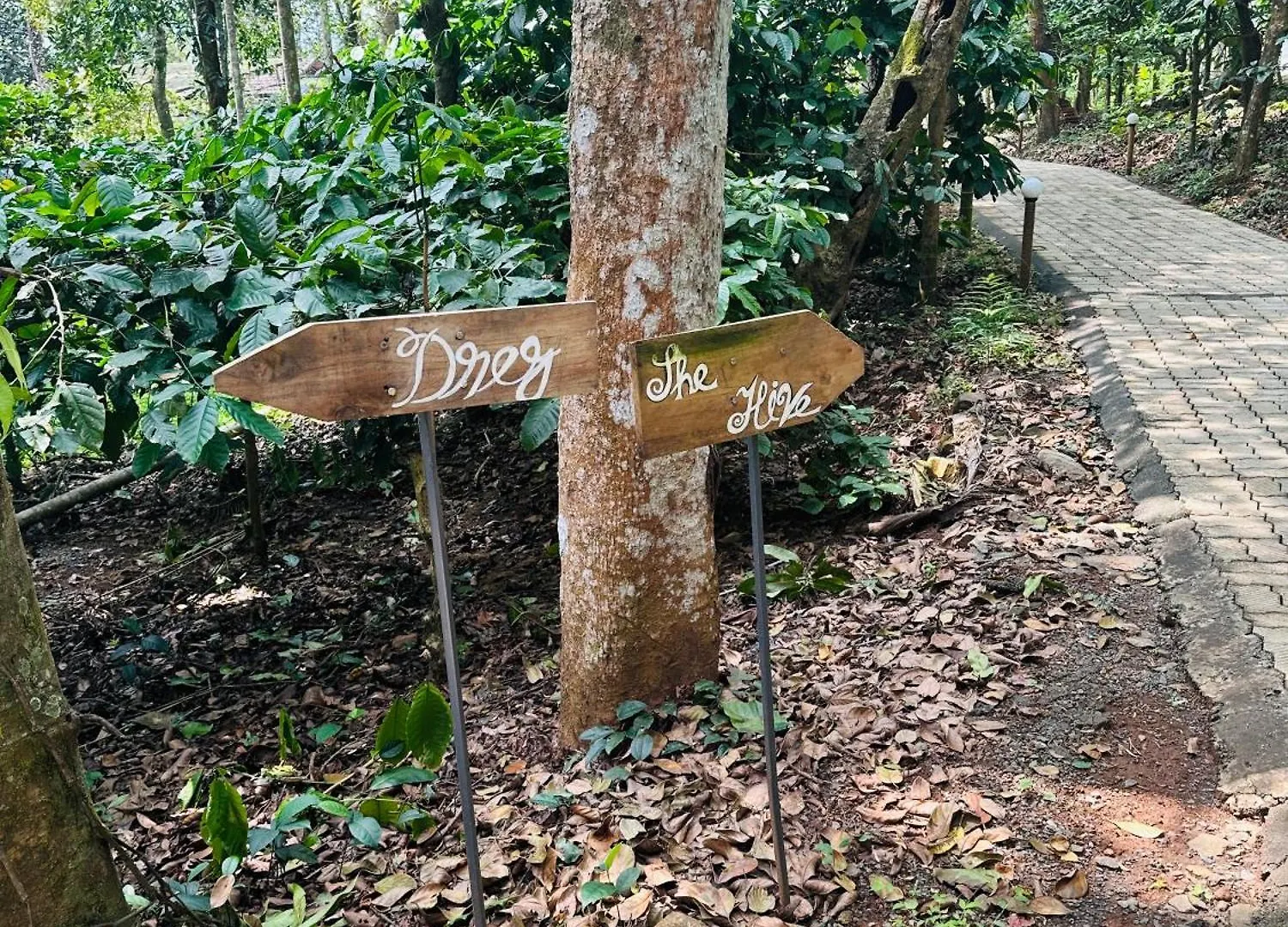 The Hive At Druv Dakshin Farm Resort Padinjarathara